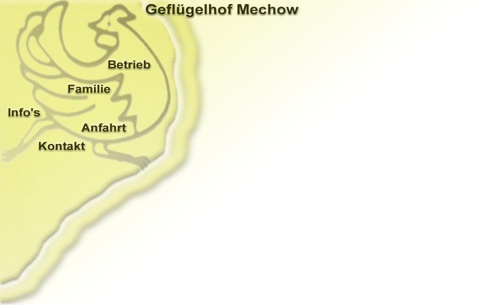 Familie Mechow
